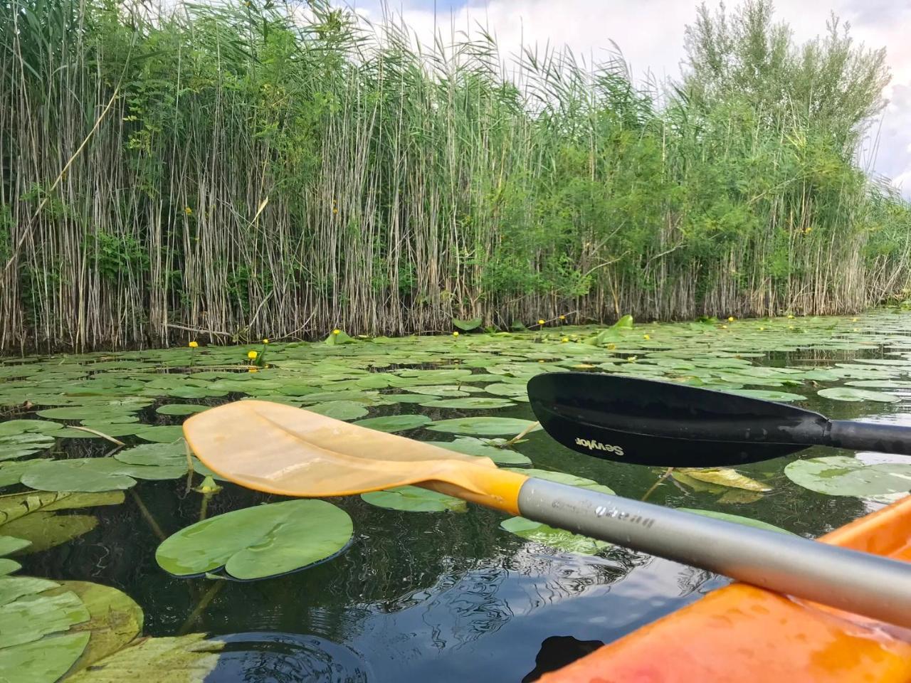 Skadar Lake Apartments Pajovic Virpazar Εξωτερικό φωτογραφία