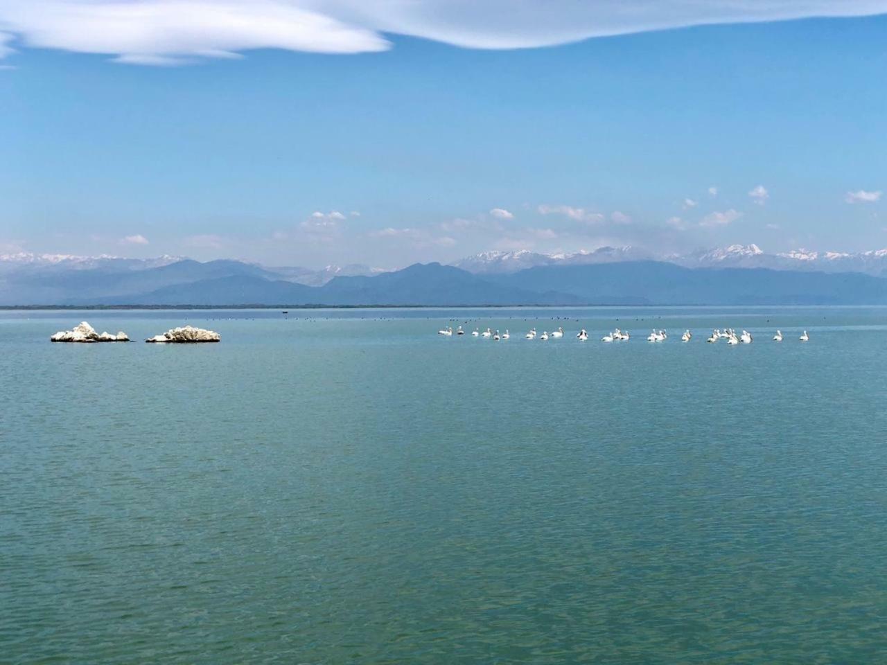 Skadar Lake Apartments Pajovic Virpazar Εξωτερικό φωτογραφία